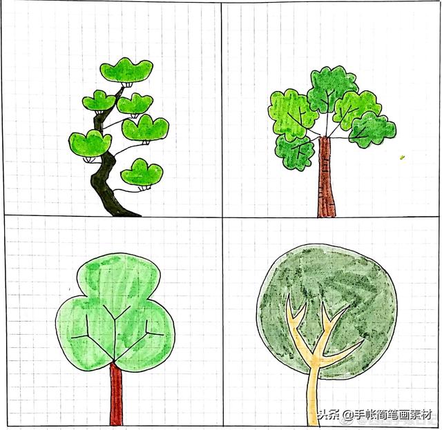 小清新风格小树的简笔画~