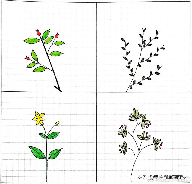 小清新风格小树的简笔画~