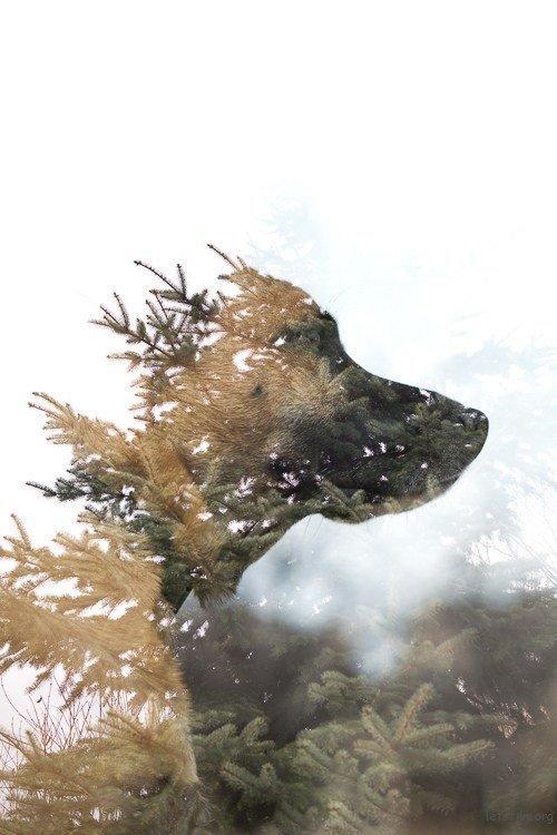 教你寻找拍摄灵感的小Tips