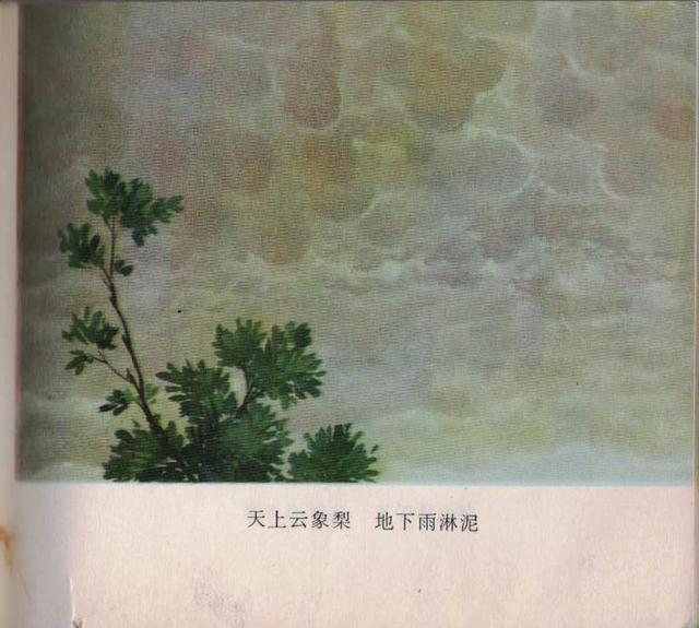 老本知识连环画《观天看物识天气》之「天象」云彩与天气