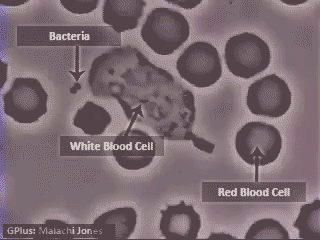 50张动图带你走进神奇的物理化学生物世界,超震撼!