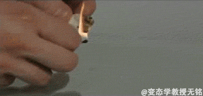 50张动图带你走进神奇的物理化学生物世界,超震撼!