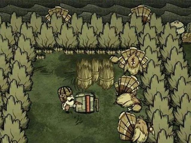 ôΪʲôҪԻ𼦣
