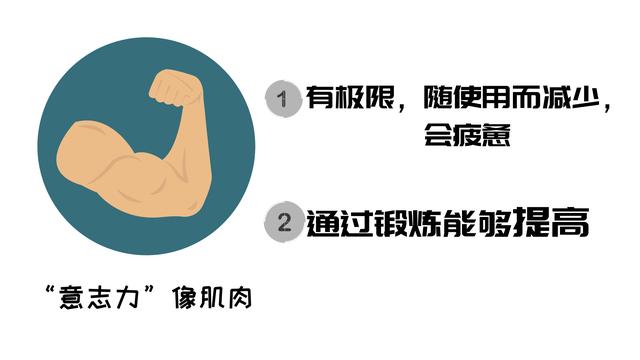 培养孩子自控力:坚毅,像锻炼肌肉一样锻炼意志