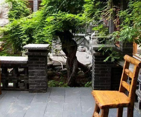 只想要个农村小院,尽情笑,放肆哭,放心睡,开怀吃!