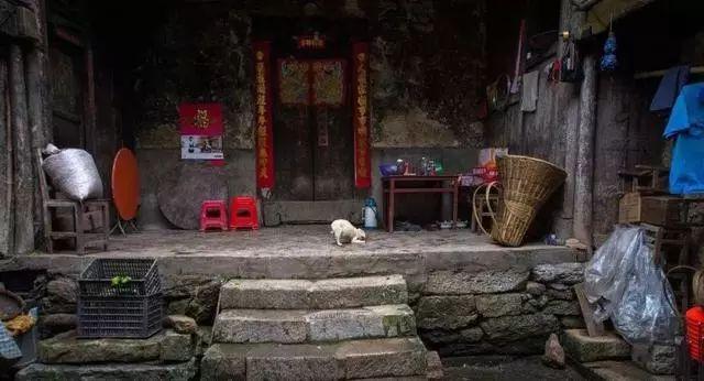 只想要个农村小院,尽情笑,放肆哭,放心睡,开怀吃!