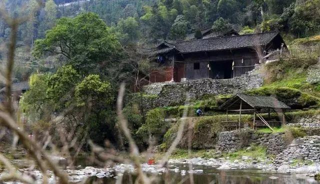 只想要个农村小院,尽情笑,放肆哭,放心睡,开怀吃!