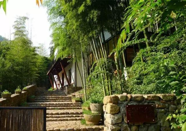 只想要个农村小院,尽情笑,放肆哭,放心睡,开怀吃!