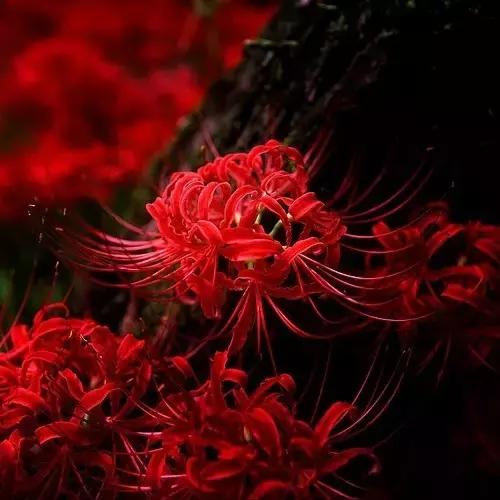 100ֲ֡عˣ