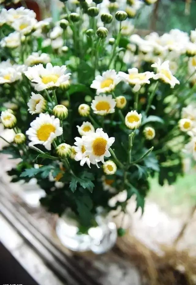 100ֲ֡عˣ