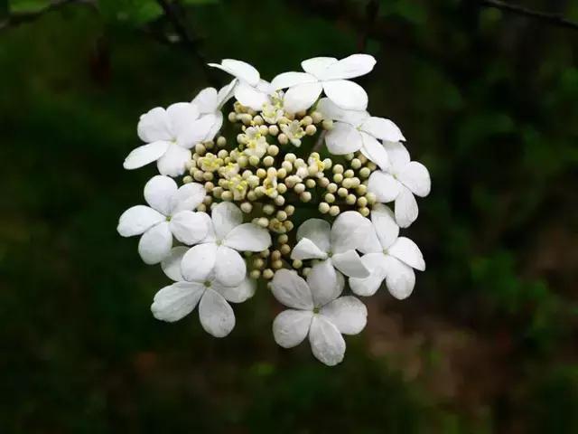 100ֲ֡عˣ