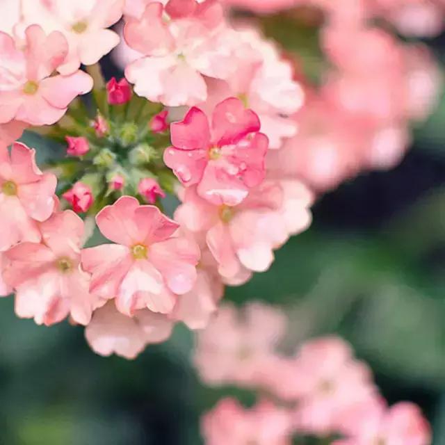 100ֲ֡عˣ