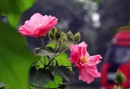100ֲ֡عˣ