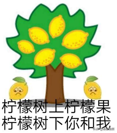 ʾҪάCȻȲ