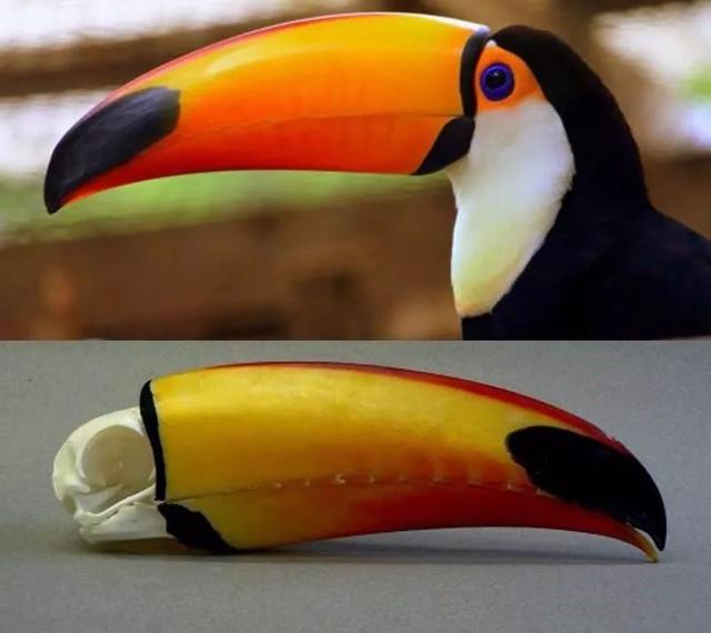 20źƬѧϰ