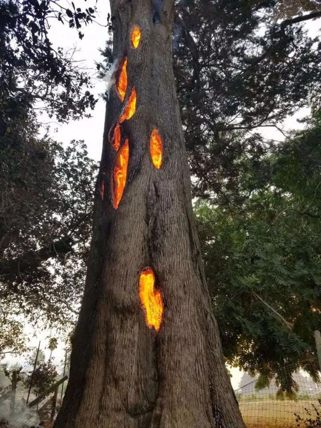 20źƬѧϰ