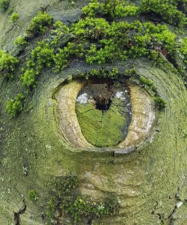 20źƬѧϰ