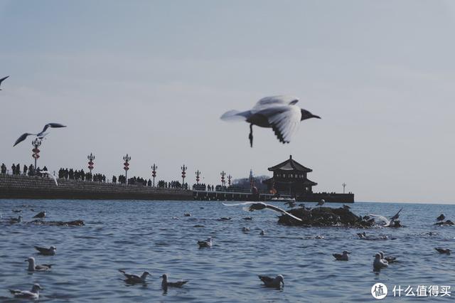 Σ漸ʮεൺൺγס