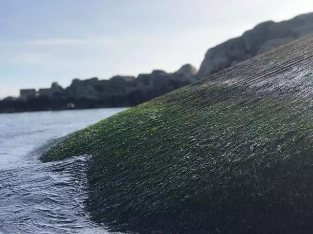 没有餐厅能比这更酷，身处海底5米，吃一顿人均2000