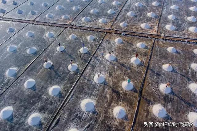 100ĵ缶ͼ