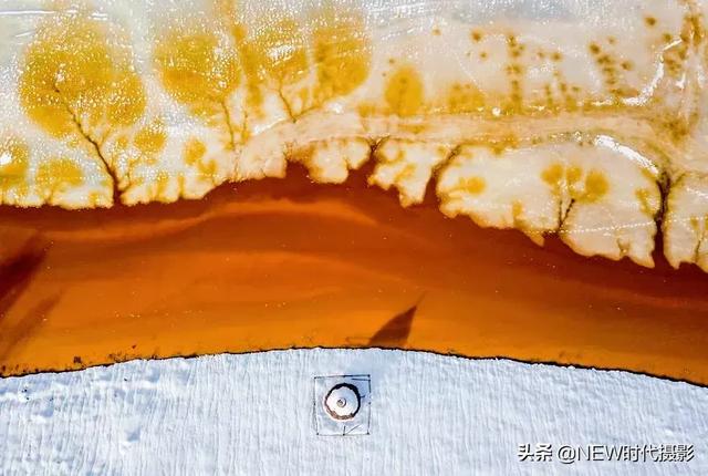 100ĵ缶ͼ