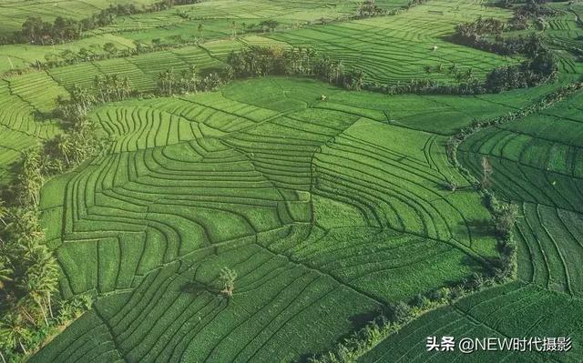 100ĵ缶ͼ