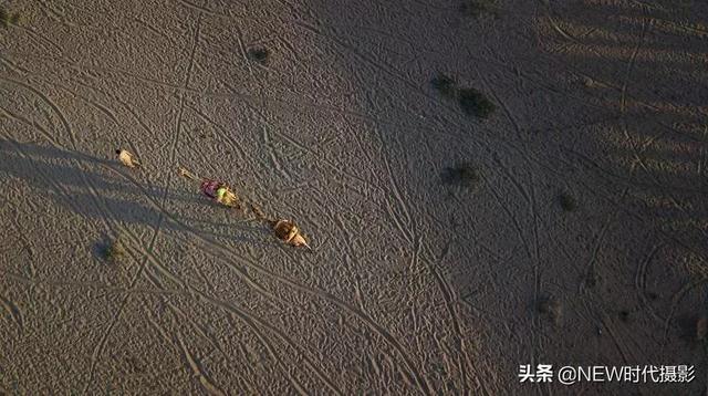 100ĵ缶ͼ