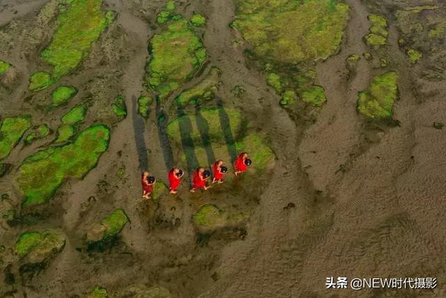 100ĵ缶ͼ