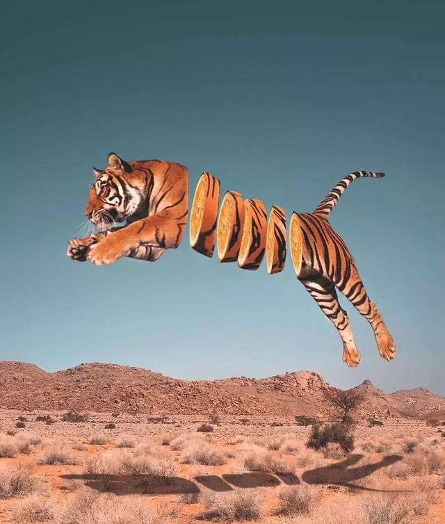 ǣ룬Ҹ