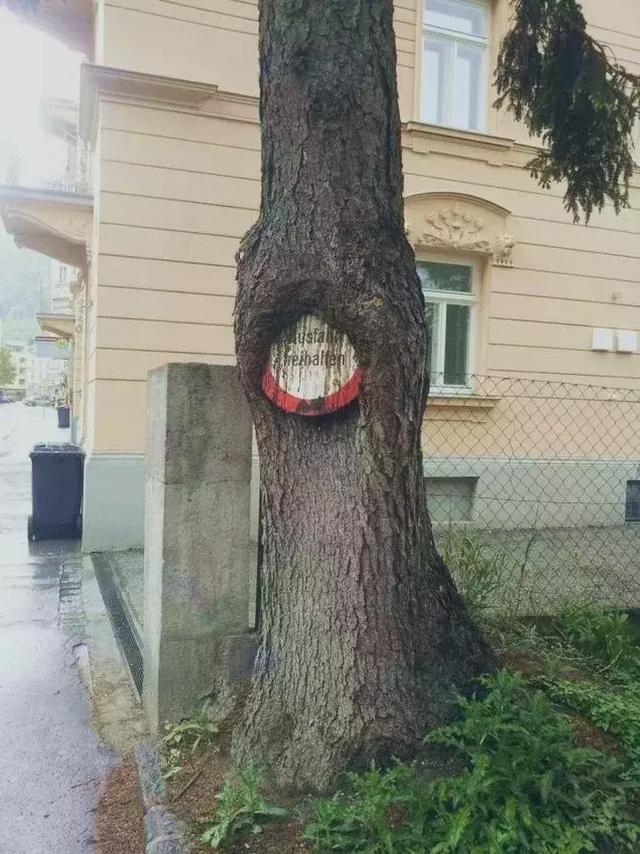 Ŀġաʱǰ¶ֵһ
