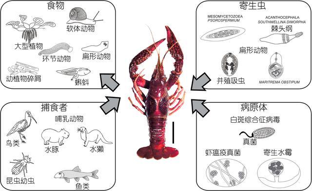 μϺϺϺһĽϺʶ