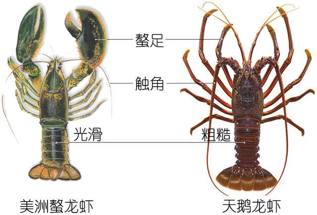 μϺϺϺһĽϺʶ