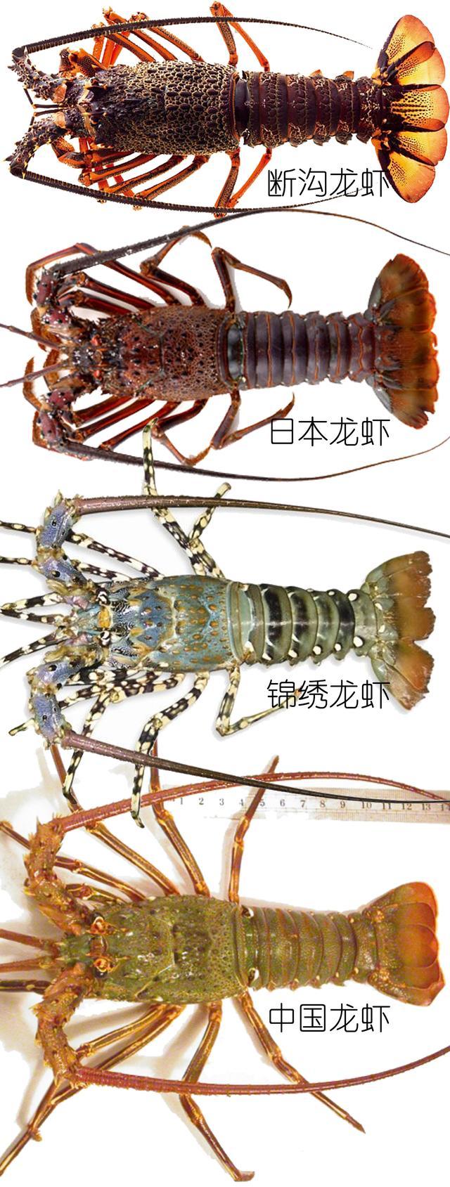 μϺϺϺһĽϺʶ