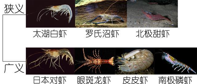 μϺϺϺһĽϺʶ