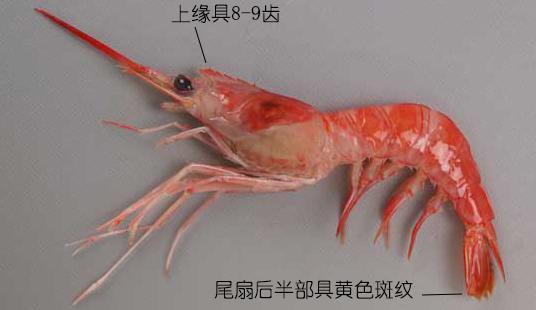 μϺϺϺһĽϺʶ