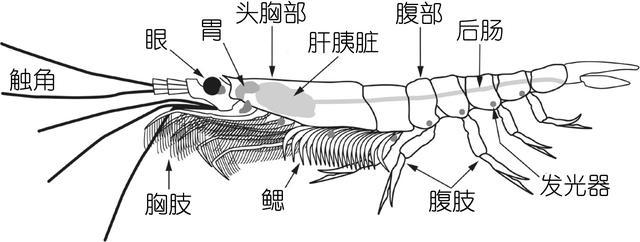 μϺϺϺһĽϺʶ