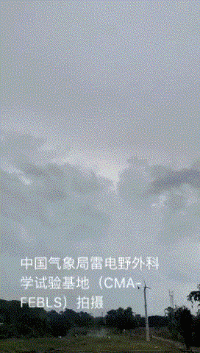 һ۽ʵڷɻϾȫʳʲô飿