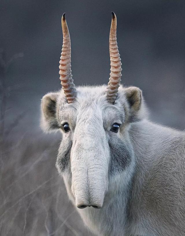 ЩӰʦ涯Ҳʧľ