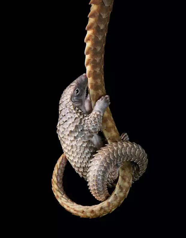 ЩӰʦ涯Ҳʧľ