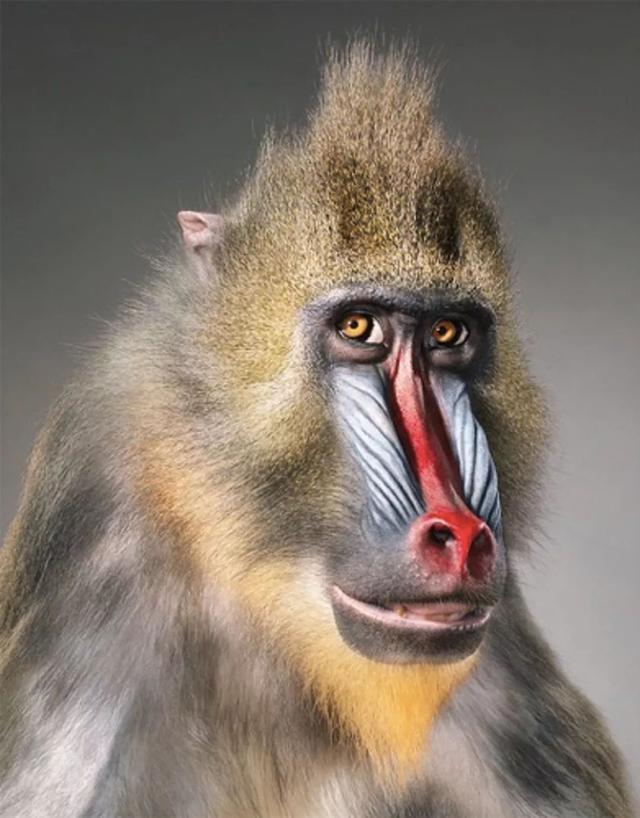 ЩӰʦ涯Ҳʧľ