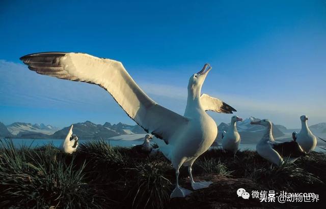 ϵ-躣ϿյĴ