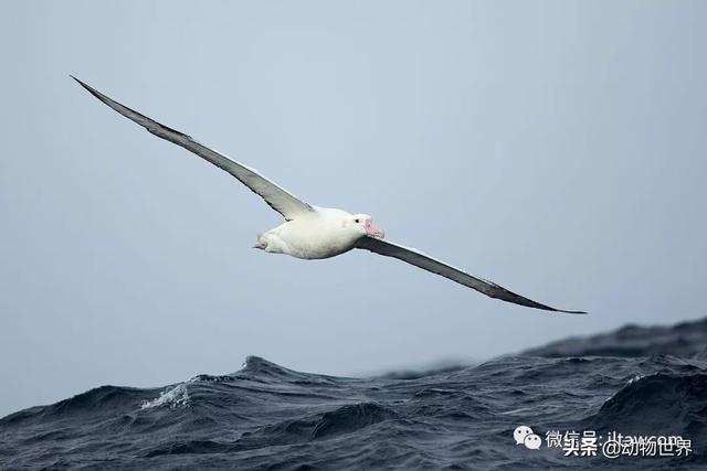 ϵ-躣ϿյĴ