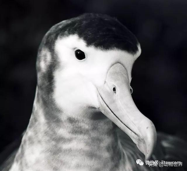 ϵ-躣ϿյĴ