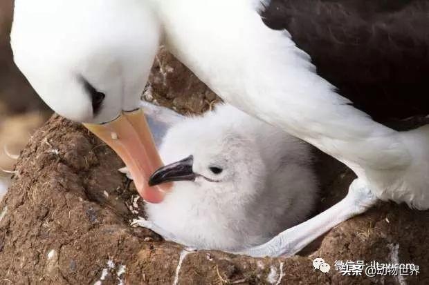 ϵ-躣ϿյĴ