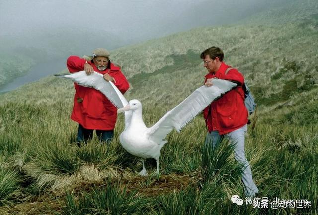 ϵ-躣ϿյĴ