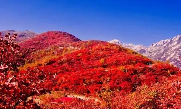 中国名山图大全,绝世美景