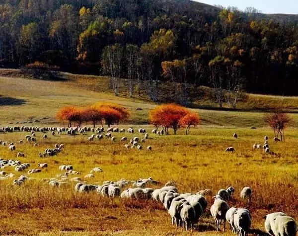中国名山图大全,绝世美景