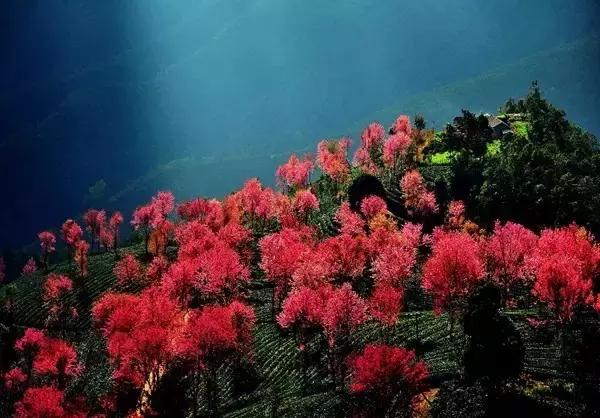 中国名山图大全,绝世美景