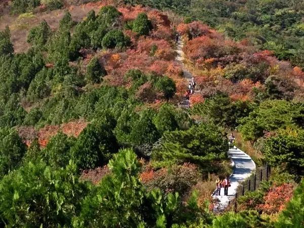中国名山图大全,绝世美景