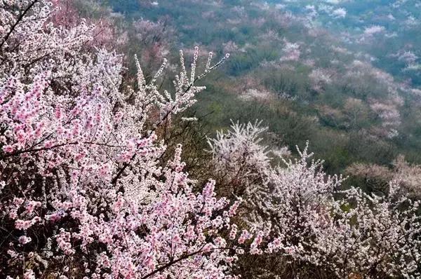 中国名山图大全,绝世美景